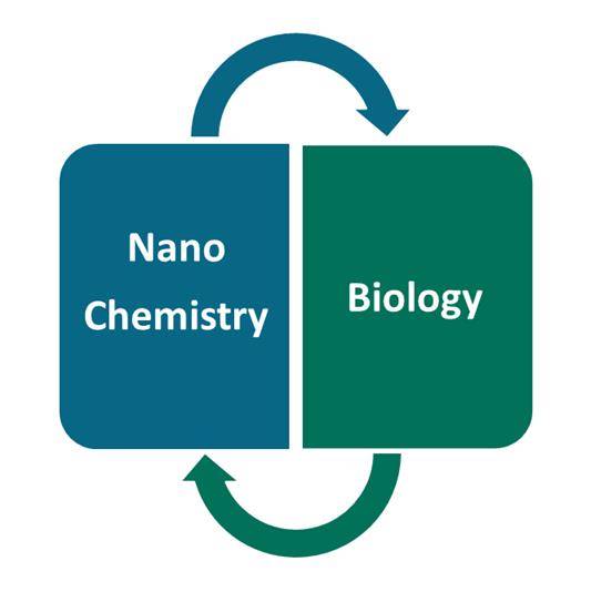 Safe-by-Design Nanoparticles